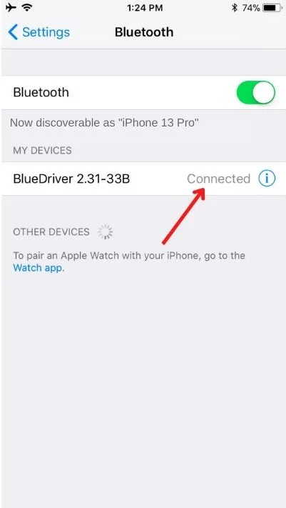 Bluedriver Bluetooth Setup
